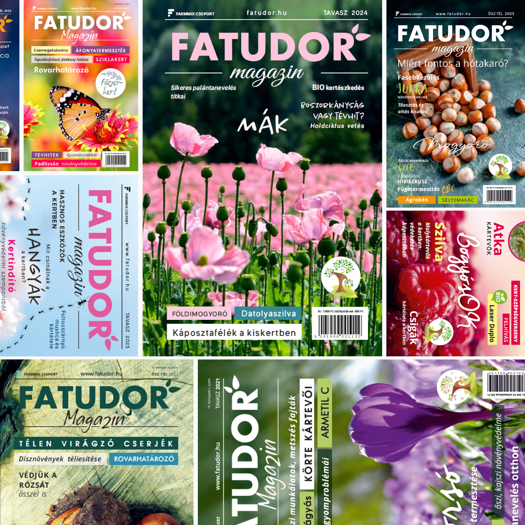 Fatudor Magazin